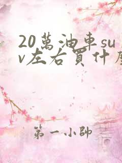 20万油车suv左右买什么车好