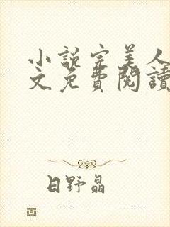 小说完美人生全文免费阅读