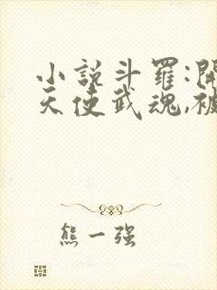 小说斗罗:开局天使武魂,被唐昊追杀更新