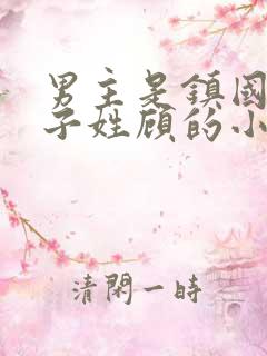 男主是镇国公世子姓顾的小说