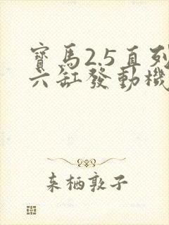 宝马2.5直列六缸发动机