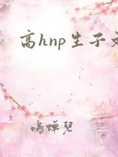 高hnp生子文