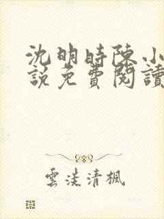 沈明时陈小雨小说免费阅读最新章节