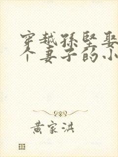 穿越孙坚娶了三个妻子的小说