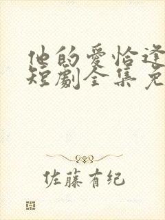 他的爱恰逢其时短剧全集免费观看