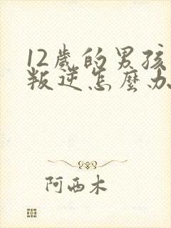 12岁的男孩子叛逆怎么办