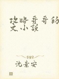 攻略哥哥的快穿文小说