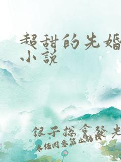 超甜的先婚后爱小说