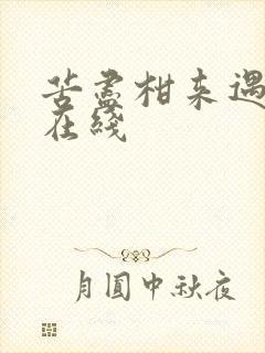 苦尽柑来遇见你在线