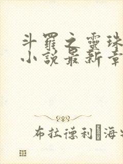 斗罗之灵珠神剑小说最新章节目录