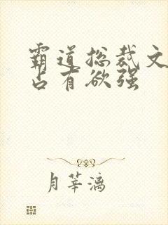 霸道总裁文男主占有欲强