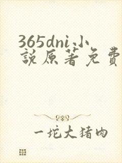 365dni小说原著免费阅读