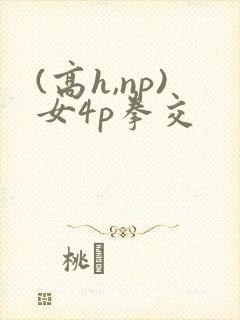 (高h,np)女4p拳交
