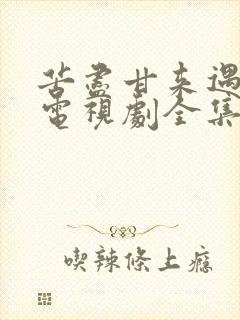 苦尽甘来遇见你电视剧全集免费观看