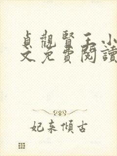 贞观贤王小说全文免费阅读