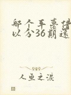 哪个平台借款可以分36期还的