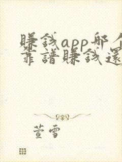 赚钱app哪个靠谱赚钱还快