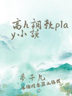 高h调教play小说