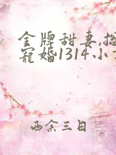 金牌甜妻,总裁宠婚1314小说