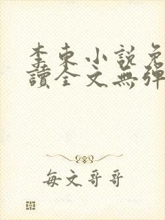 李东小说免费阅读全文无弹窗