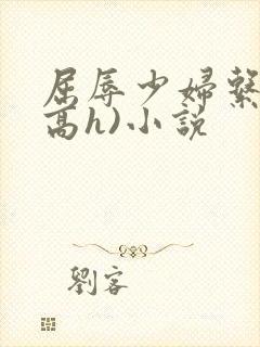 屈辱少妇系列(高h)小说