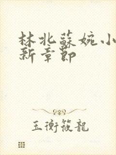 林北苏婉小说最新章节