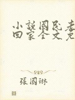 小说国民老公带回家全文免费阅读