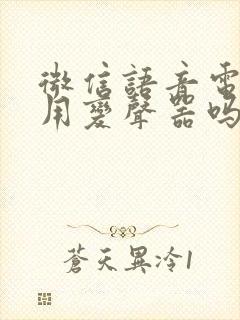 微信语音电话能用变声器吗