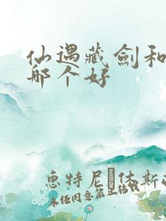 仙遇藏剑和怒剑哪个好