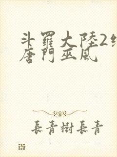 斗罗大陆2绝世唐门巫风