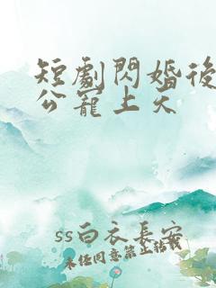 短剧闪婚后被老公宠上天