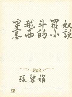 穿越斗罗奴役波塞西的小说