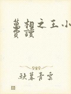 万相之王小说免费读