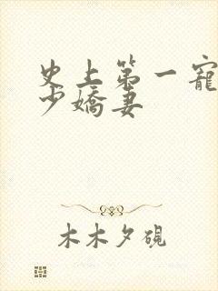 史上第一宠婚慕少娇妻