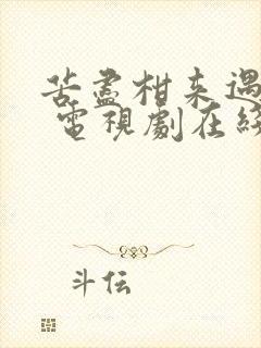 苦尽柑来遇见你 电视剧在线