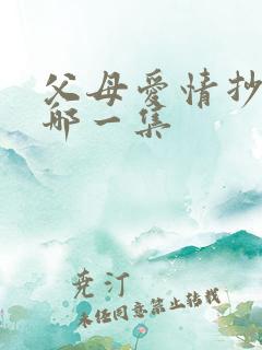 父母爱情抄家是哪一集