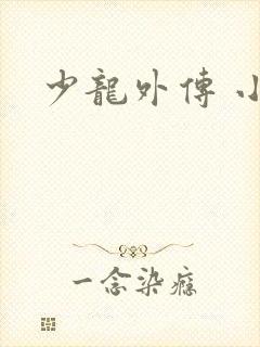 少龙外传 小说