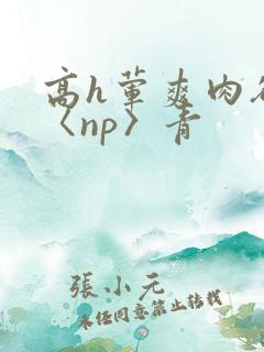 高h荤爽肉欲文〈np〉青