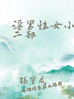 淫男性女小雄第二部