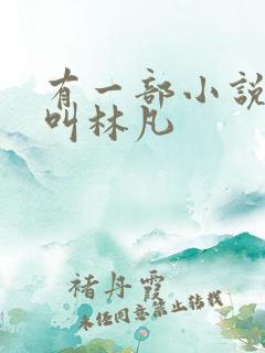 有一部小说主角叫林凡