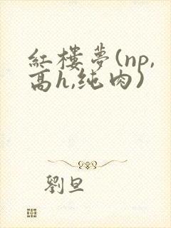 红楼梦(np,高h,纯肉)