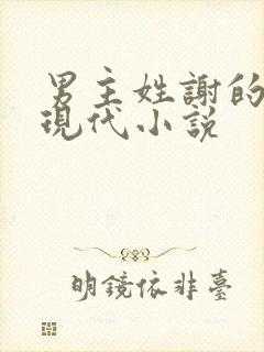 男主姓谢的总裁现代小说