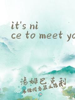 it's nice to meet you翻译