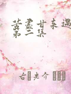 苦尽甘来遇见你第二集