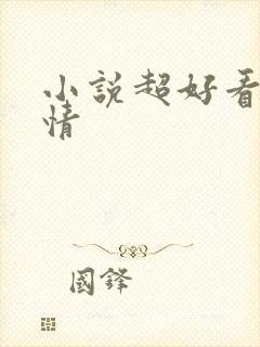 小说超好看的言情