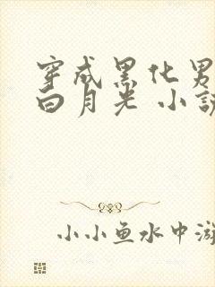 穿成黑化男主的白月光 小说