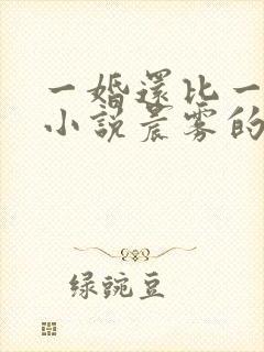 一婚还比一婚高小说晨雾的光完整版全文阅读