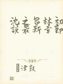 沈之昂林初窈小说最新章节免费阅读