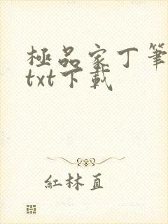 极品家丁笔趣阁txt下载