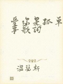 爱你是孤单的心事歌词